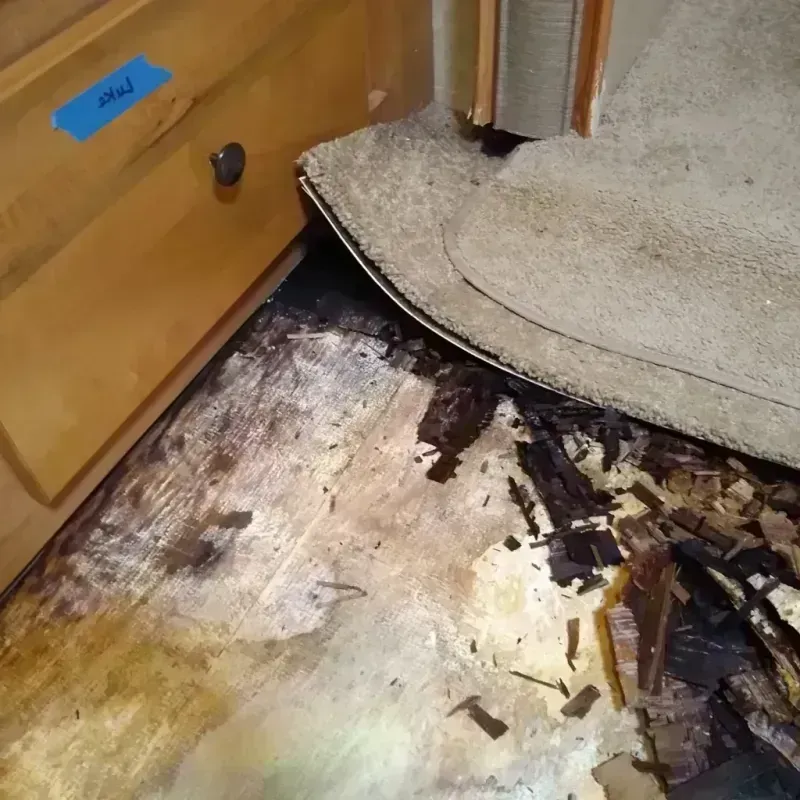 Best Wood Floor Water Damage Service in Oak Hills, OR